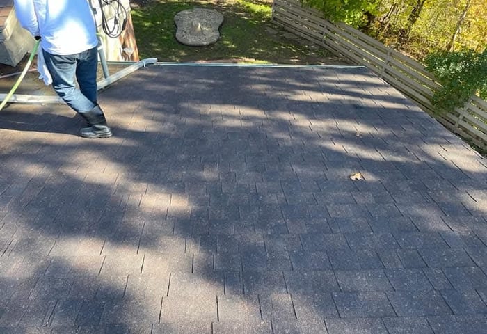 Residential Home — 18-Year-Old Roof — before rejuvenation treatment